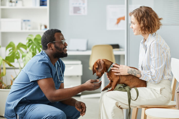 Vet talking to pet owner 