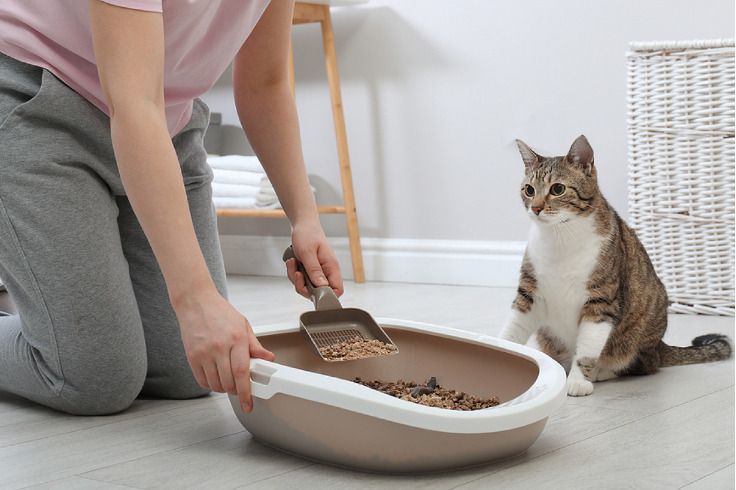 Cat litter box