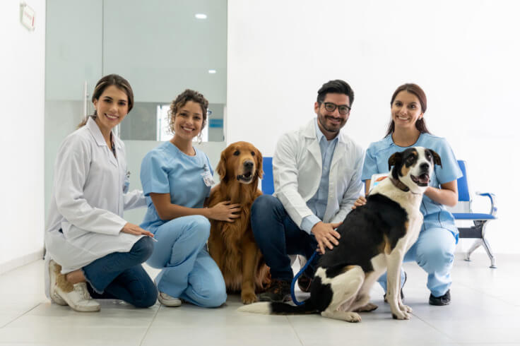 Lots of doctors all together with a pet