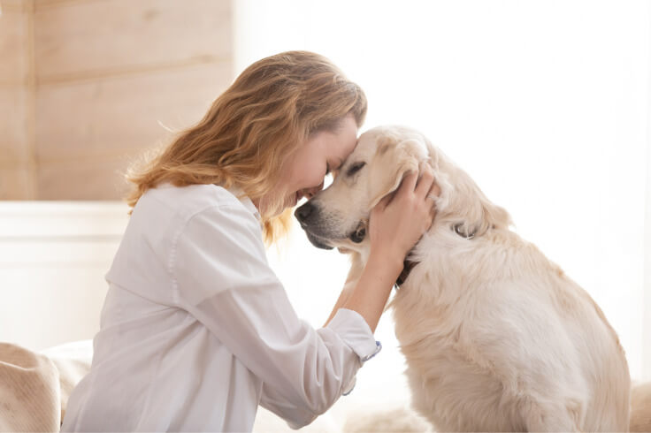 Woman and her Labrador nose to nose with love