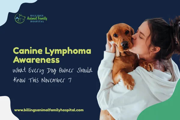 Dog cancer awareness picture