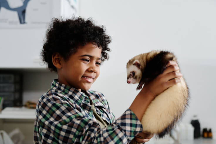 kid holding pet ferret