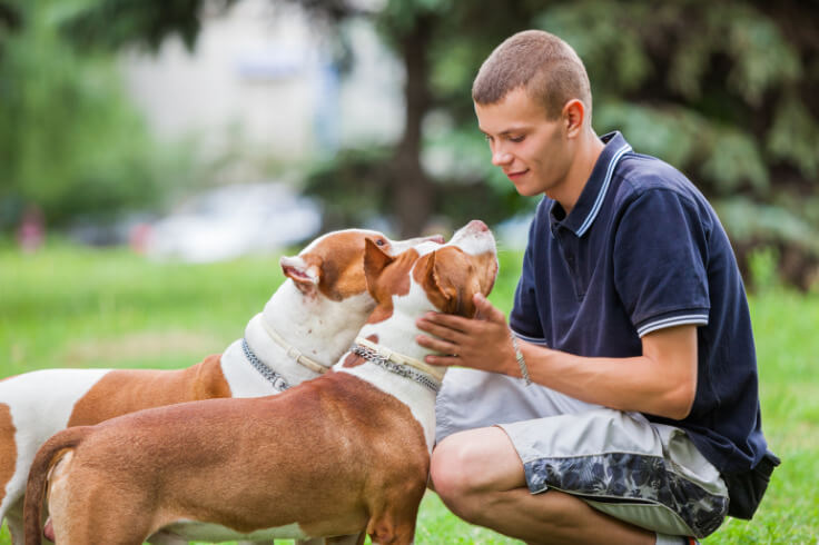 guy with his dogs in the park