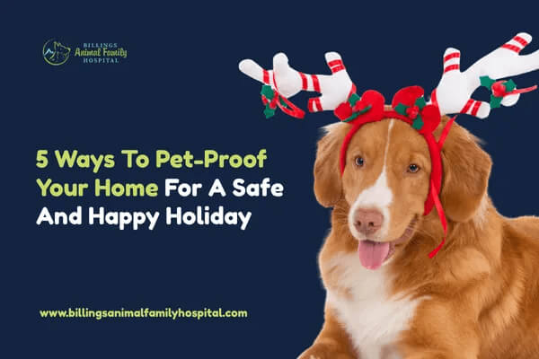 5 Ways To Pet-Proof Your Home For A Safe And Happy Holiday