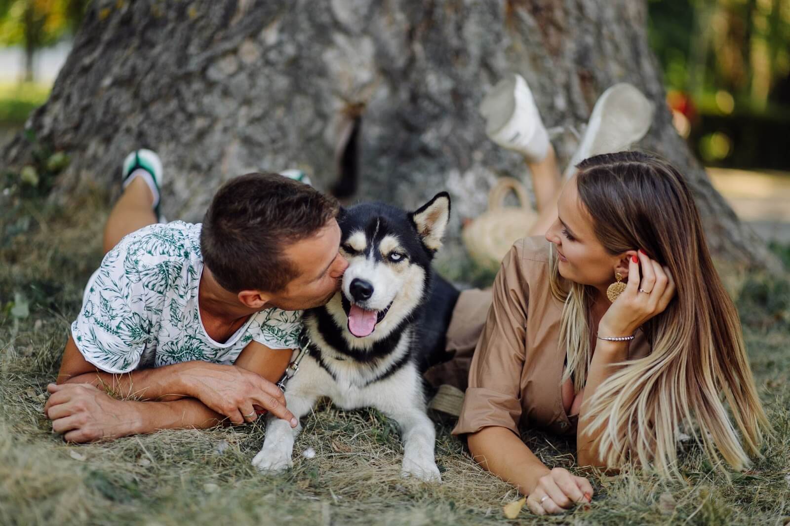 man kissing his husky on the face